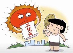 本年三伏天 